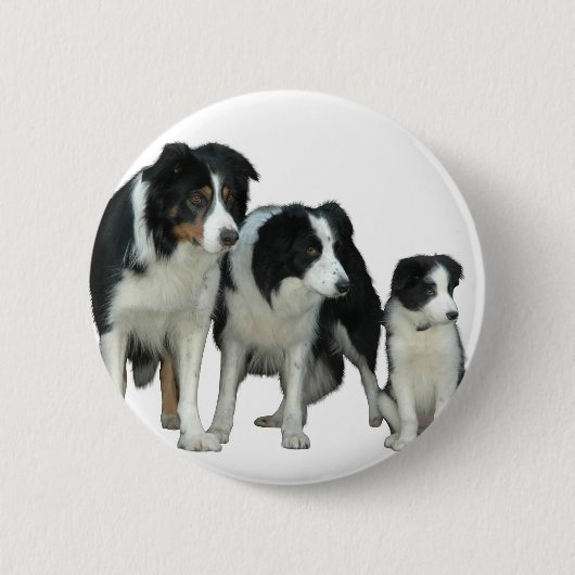 Badge Rond 5 Cm Border Collie Dogs (Devant)