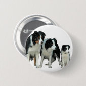 Badge Rond 5 Cm Border Collie Dogs (Devant & derrière)