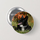 Badge Rond 5 Cm Border collie haletant la fixation (Devant & derrière)