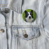 Badge Rond 5 Cm Bordure Collie (En situation)
