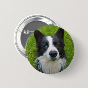 Badge Rond 5 Cm Bordure Collie