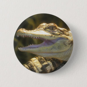 Badge Rond 5 Cm Bouche d'alligator américain ouverte