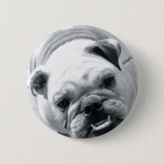 Badge Rond 5 Cm Bouledogue anglais
