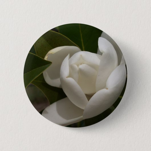 Badge Rond 5 Cm bourgeon de fleur de magnolia du sud blanc (Devant)