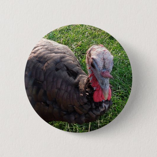 Badge Rond 5 Cm Bouton 1 d'acres de Wedrose (Devant)