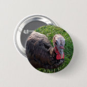 Badge Rond 5 Cm Bouton 1 d'acres de Wedrose (Devant & derrière)