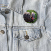 Badge Rond 5 Cm Bouton 1 d'acres de Wedrose (En situation)