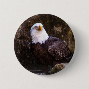 Badge Rond 5 Cm Bouton Aigle