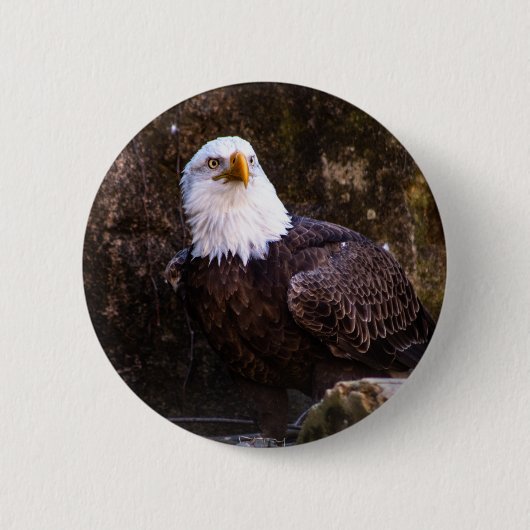 Badge Rond 5 Cm Bouton Aigle (Devant)