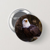Badge Rond 5 Cm Bouton Aigle (Devant & derrière)