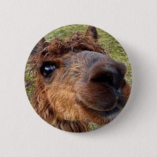 Badge Rond 5 Cm Bouton Alpaca (Devant)