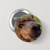 Badge Rond 5 Cm Bouton Alpaca (Devant & derrière)