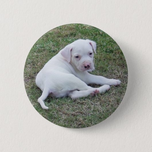 Badge Rond 5 Cm Bouton américain de chiot de bouledogue (Devant)