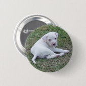 Badge Rond 5 Cm Bouton américain de chiot de bouledogue (Devant & derrière)
