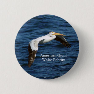 Badge Rond 5 Cm Bouton American Great White Pelican