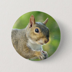 Badge Rond 5 Cm Bouton amical d'animal d'écureuil