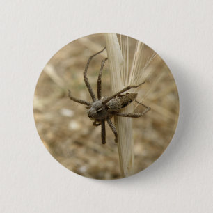 Badge Rond 5 Cm Bouton Araignée déplaisante