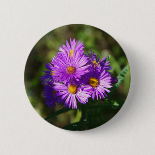 Badge Rond 5 Cm Bouton Aster