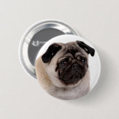 Badge Rond 5 Cm bouton avec le museau de carlin (Devant & derrière)