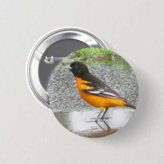 Badge Rond 5 Cm Bouton Baltimore Oriole (Devant & derrière)