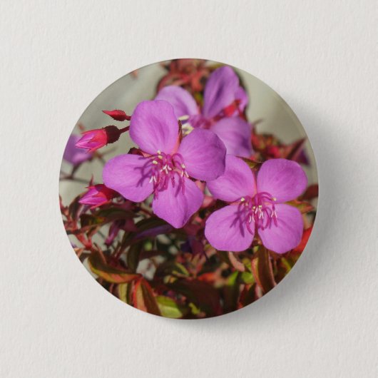 Badge Rond 5 Cm Bouton Begonia (Devant)