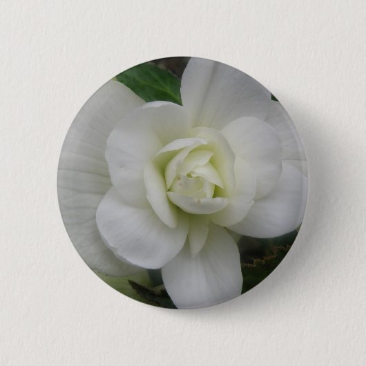 Badge Rond 5 Cm Bouton belle oeillet blanc (Devant)