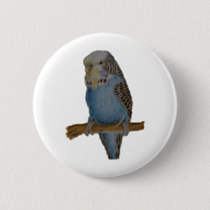 Badge Rond 5 Cm Bouton bleu d'art de perruche