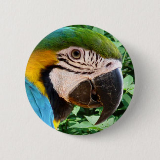 Badge Rond 5 Cm Bouton bleu de perroquet d'ara