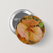 Badge Rond 5 Cm Bouton Bougainvillier orange (Devant & derrière)