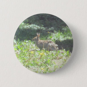 Badge Rond 5 Cm Bouton Bunny sauvage