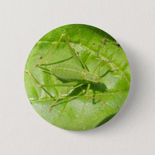 Badge Rond 5 Cm Bouton Camouflage de cricket vert (Devant)