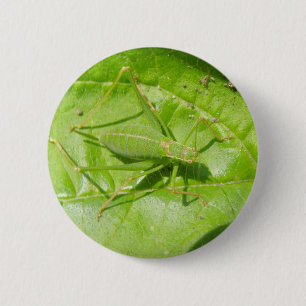Badge Rond 5 Cm Bouton Camouflage de cricket vert