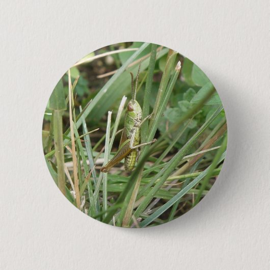 Badge Rond 5 Cm Bouton Camouflage de sauterelle (Devant)