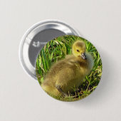 Badge Rond 5 Cm Bouton canadien 2 d'oie de bébé (Devant & derrière)