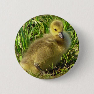Badge Rond 5 Cm Bouton canadien 2 d'oie de bébé