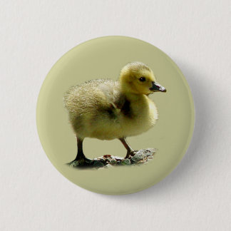 Badge Rond 5 Cm Bouton canadien d'oie de bébé