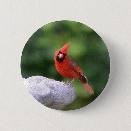 Badge Rond 5 Cm Bouton Cardinal (Devant)