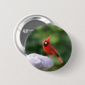 Badge Rond 5 Cm Bouton Cardinal (Devant & derrière)