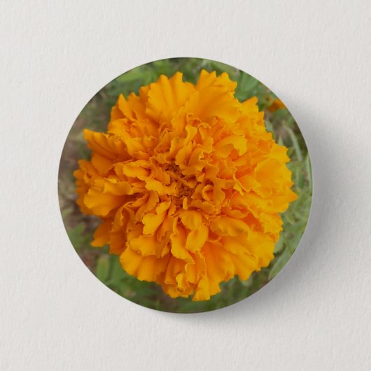 Badge Rond 5 Cm Bouton Carnation orange (Devant)