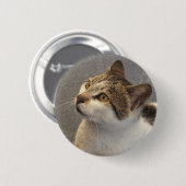 Badge Rond 5 Cm Bouton Cat (Devant & derrière)