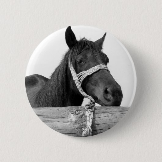 Badge Rond 5 Cm Bouton Cheval (Devant)