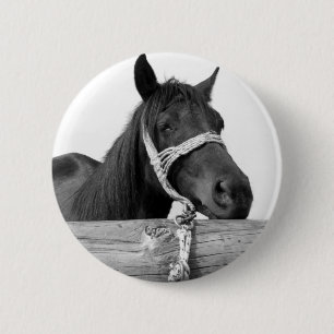 Badge Rond 5 Cm Bouton Cheval