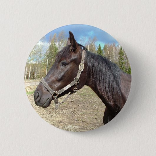 Badge Rond 5 Cm Bouton Cheval (Devant)