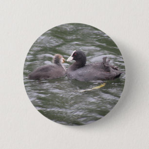 Badge Rond 5 Cm Bouton Chick affamé pour l'alimentation des pieds