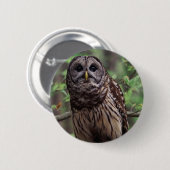 Badge Rond 5 Cm Bouton Chouette barrée (Devant & derrière)