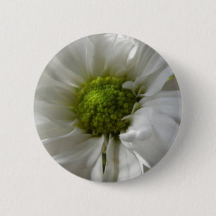 Badge Rond 5 Cm Bouton Chrysanthème blanc