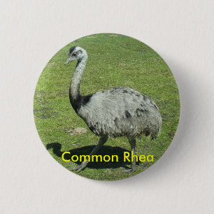 Badge Rond 5 Cm Bouton commun de nandou