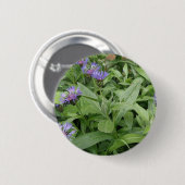 Badge Rond 5 Cm Bouton Cornflowers (Devant & derrière)