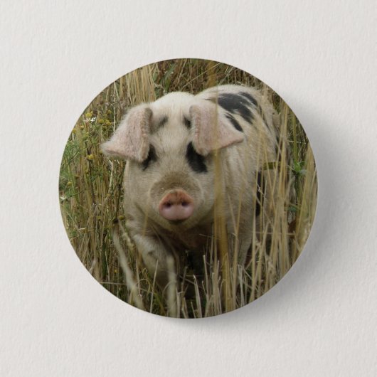 Badge Rond 5 Cm Bouton Cute Pig (Devant)