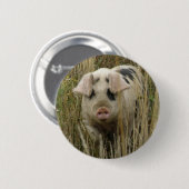Badge Rond 5 Cm Bouton Cute Pig (Devant & derrière)